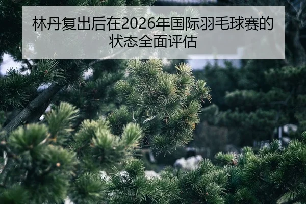 lin-dan-fu-chu-hou-zai-nian-guo-ji-yu-mao-qiu-sai-de-zhuang-tai-quan-mian-ping-gu-2-853.jpg