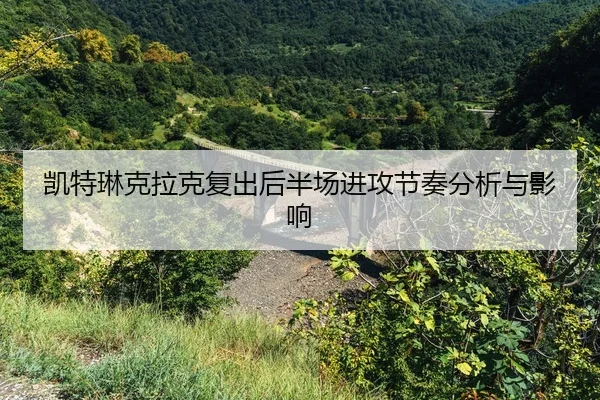 kai-te-lin-ke-la-ke-fu-chu-hou-ban-chang-jin-gong-jie-zou-fen-xi-yu-ying-xiang-2-876.jpg