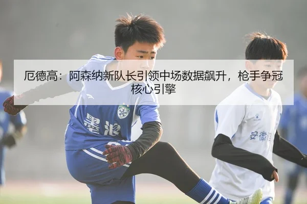 e-de-gao-a-sen-na-xin-dui-zhang-yin-ling-zhong-chang-shu-ju-biao-sheng-qiang-shou-zheng-guan-he-xin-yin-qing-3-919.jpg