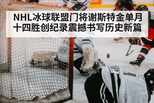 hockey save
